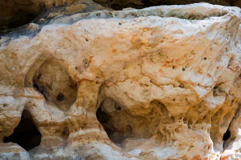 Nahaufnahme Sandstein, Texturierte Felsoberfläche in verschiedenen Brauntönen mit kleinen Löchern und Rillen.