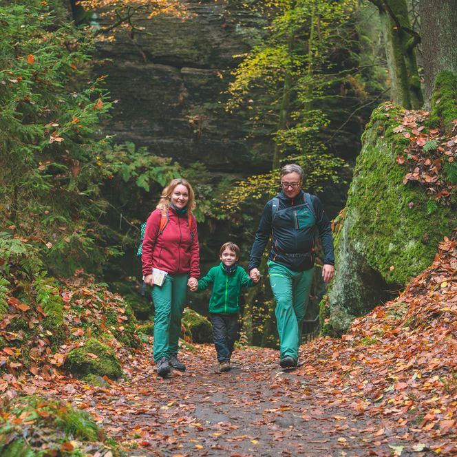 Familie wandert auf einem Waldweg, umgeben von buntem Herbstlaub und grünen Pflanzen.