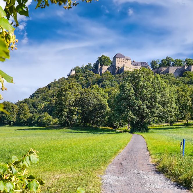 Grüner Wiesenweg führt zu einem bewaldeten Hügel unter blauem Himmel.