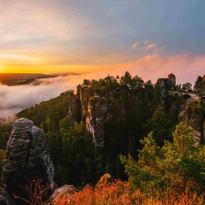 Herbststimmung Nebel Basteibrücke Sonnenaufgang Felsen