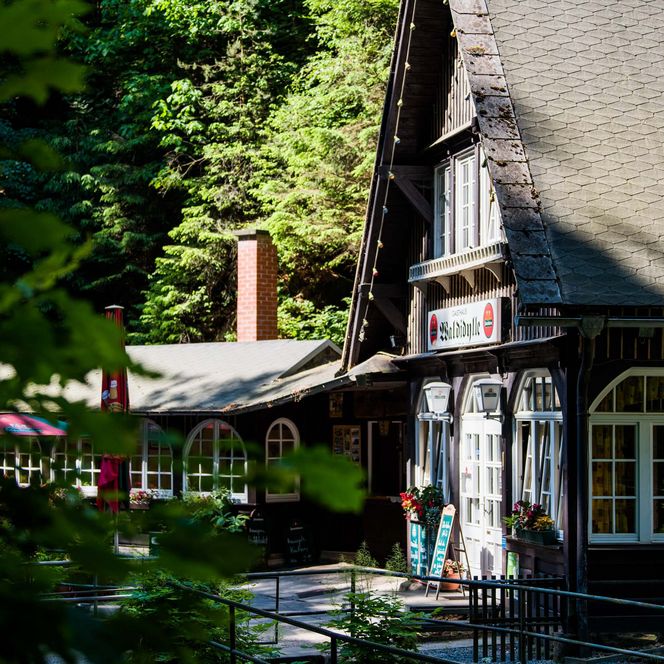 Fachwerkhaus Gasthaus Waldidylle im Uttewalder Grund im Wald mit großen Fenstern und einem schrägen Dach, umgeben von Bäumen.