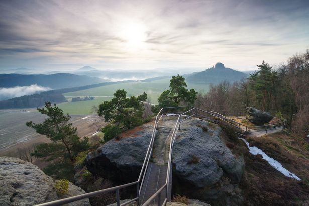 Felsen im Elbsandsteingebirge, bedeckt mit Nadelbäumen, blauer Himmel im Hintergrund.