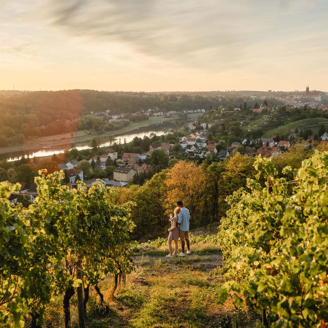 Sonnenuntergang über Weinbergen mit Blick auf eine Stadt und einen Fluss im Tal.