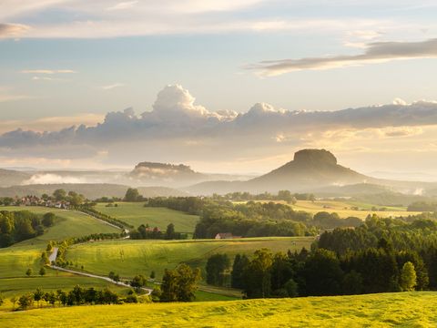 Blick auf bewaldete Hügel, markanter Tafelberg Lilienstein im Hintergrund, blauer Himmel.