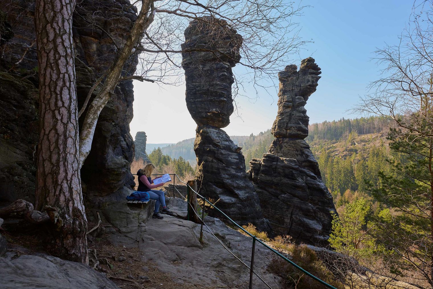 Felsformationen mit Bäumen und einem klaren Himmel im Hintergrund im Bielatal, Herkulessäulen