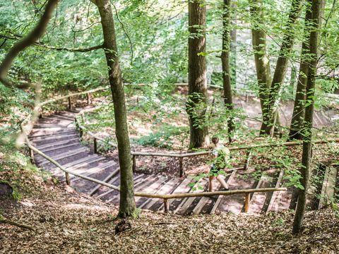 Malerweg Etappe 2 Wandern in der Natur