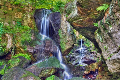 Lichtenhainer Wasserfall im Wald, umgeben von grünen Bäumen, Felsen und Moos.