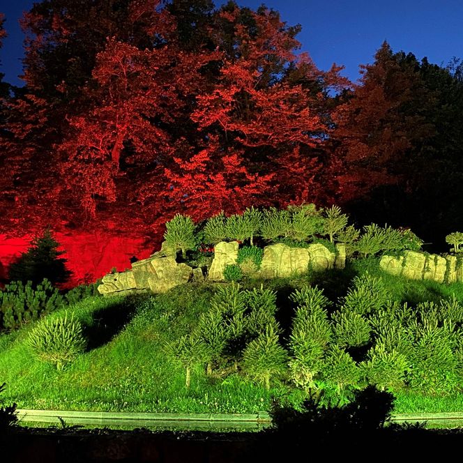 Beleuchtete Ruine auf einem Hügel, umgeben von Bäumen mit rotem und grünem Licht.