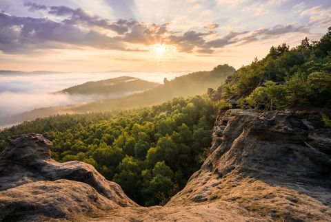 Sonnenuntergang über einem nebligen Wald mit Felsen im Vordergrund.