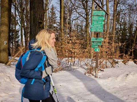 Langläuferin auf verschneitem Waldweg, umgeben von hohen Bäumen im Winter.