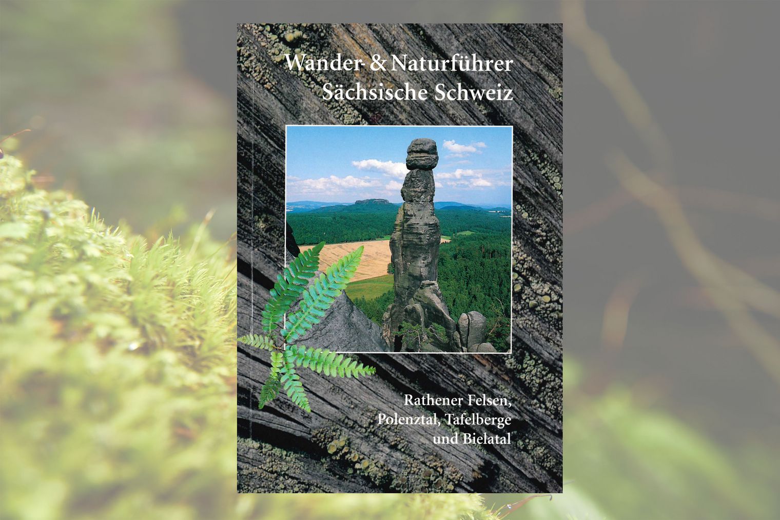 Buchcover mit einem Bild eines schmalen Felsen und Landschaft, umrahmt von einer Holztextur. 