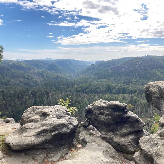 Blick auf eine bewaldete Landschaft mit Felsen im Vordergrund und einem bewölkten Himmel.
