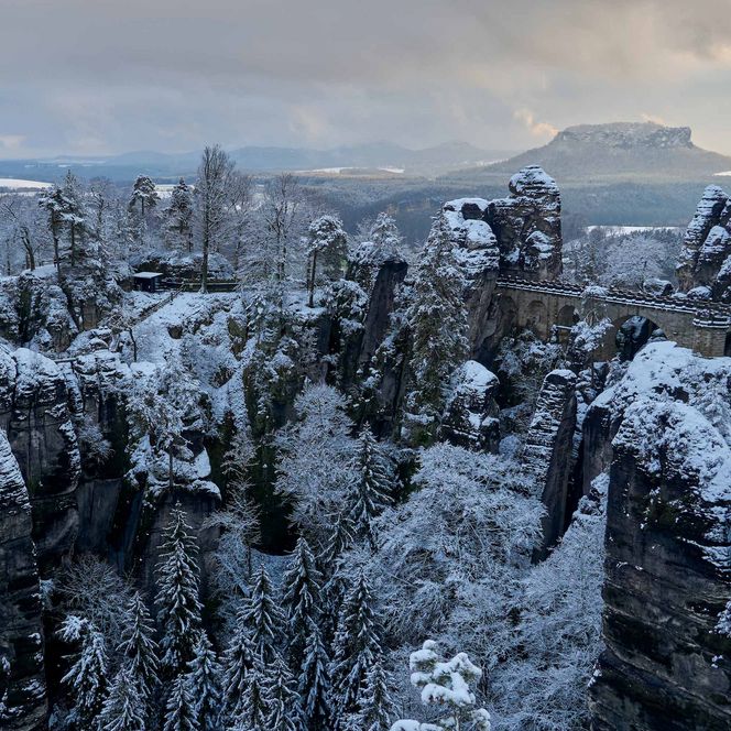 Basteibrücke im Winter mit Schnee trübes Wetter