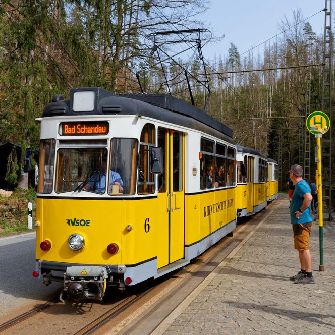 Gelber Straßenbahnwagen der Kirnitzschtalbahn hält an einer Haltestelle, zwei Personen stehen daneben. Grüne Bäume im Hintergrund.