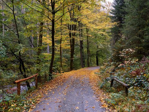 Kirnitzschtal im Nationalpark