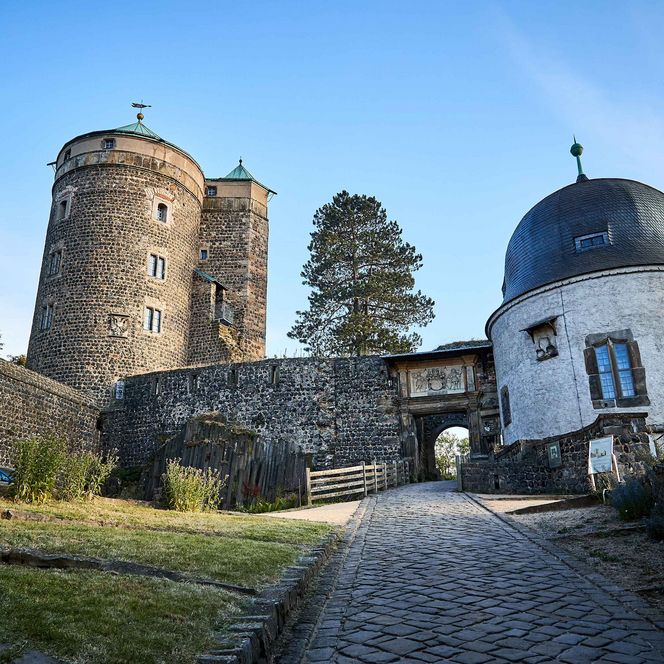 Ruine einer alten Burg mit zwei Türmen und einer Kuppel, umgeben von Bäumen und grünem Gras.