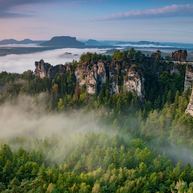 Waldige Felsformationen ragen aus Nebel, im Hintergrund Hügel bei Sonnenaufgang.