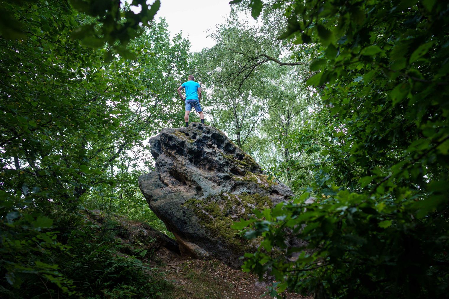 Person in blauer Kleidung steht auf einem Felsen, umgeben von grünen Bäumen und Sträuchern.