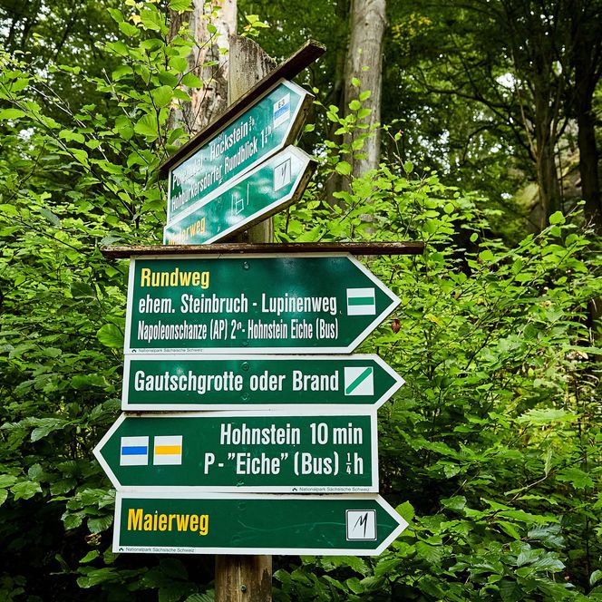 Wegweiser mit mehreren Richtungsangaben und Entfernungen in einem Waldgebiet.