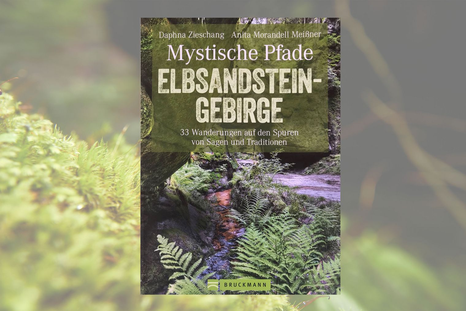 Buchcover mit dem Titel "Mystische Pfade Elbsandsteingebirge" und einem Bild von einem Bach mit Farn und Sträuchern