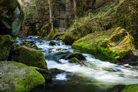 Liebethaler Grund an der Wesenitz