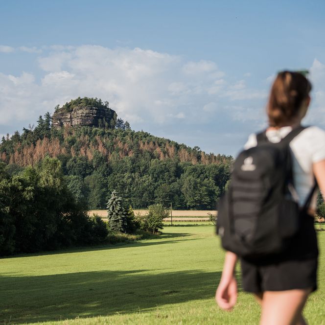 Frau mit Rucksack geht über eine Wiese zu einem bewaldeten Hügel unter blauem Himmel und blickt auf den Zirkelstein.