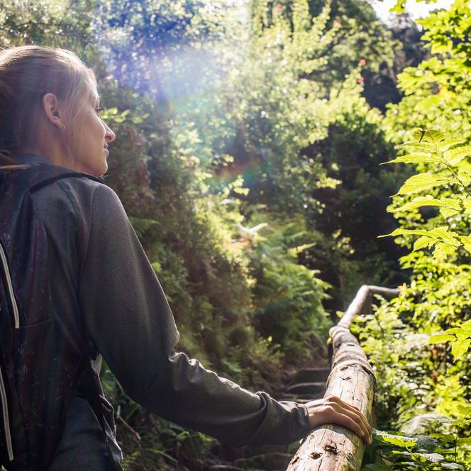 Frau mit Rucksack steht auf einem Waldweg und schaut auf grüne Bäume. Sonnenstrahlen fallen durch das Laub.