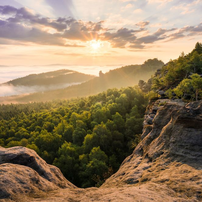 Sonnenuntergang über einem nebligen Wald mit Felsen im Vordergrund.