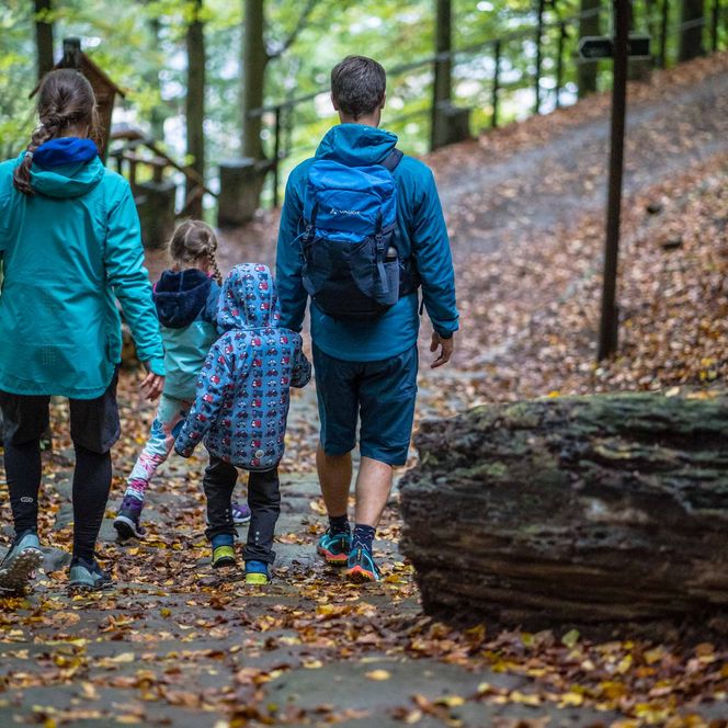 Familie mit zwei Erwachsenen und zwei Kindern geht einen Waldweg entlang, umgeben von herbstlichen Blättern.