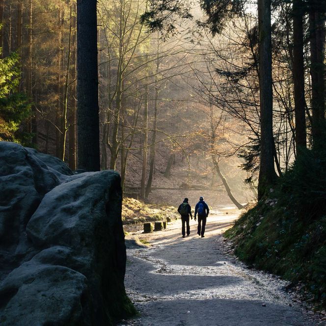 Zwei Personen gehen auf einem Waldweg zwischen hohen Bäumen und Felsen.