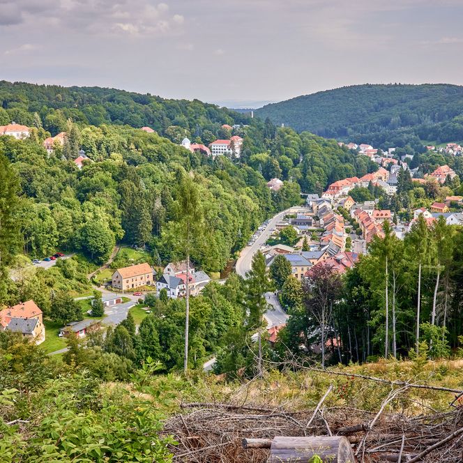 Blick auf ein Dorf umgeben von Wäldern und Hügeln, mit Häusern und Straßen im Vordergrund.