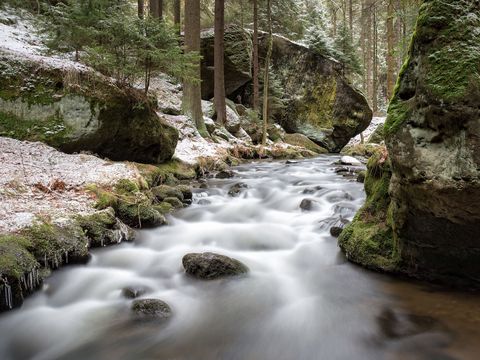 Kirnitzsch im Winter