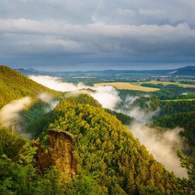 Grüne Hügel mit Nebel, unter einem bewölkten Himmel, der eine ruhige Landschaft zeigt.