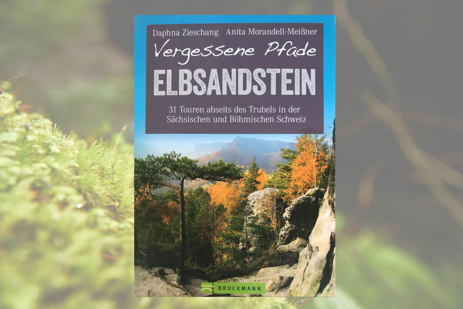 Titelseite mit Bild von Sandsteinen im Wald und orangefarbenen Baumkronen im Hintergrund.