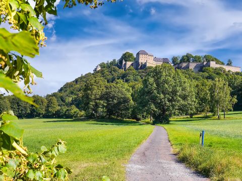 Blick auf die Festung Königstein mit grünem Wald und blauem Himmel im Hintergrund.