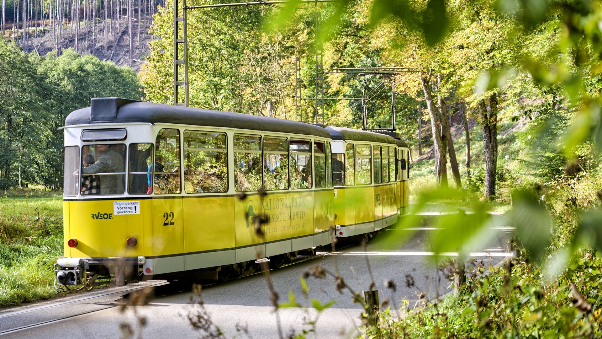per Straßenbahn in den Nationalpark tuckern