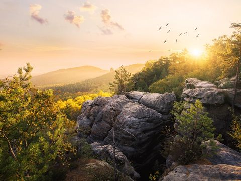 Sonnenaufgang auf dem Gohrisch