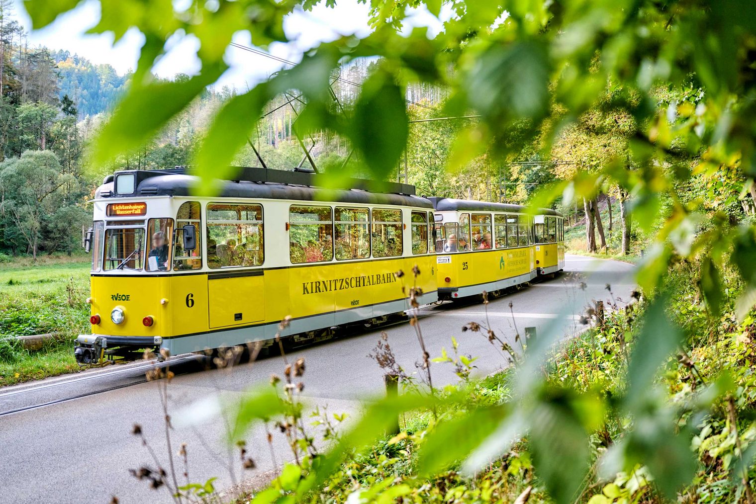 Gelber Straßenbahnwagen der Kirnitzschtalbahn fährt entlang einer Straße, umgeben von grünen Bäumen und Pflanzen.