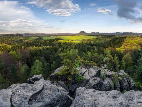 Grüner Hügel mit Bäumen, Felsen und blauem Himmel im Hintergrund.