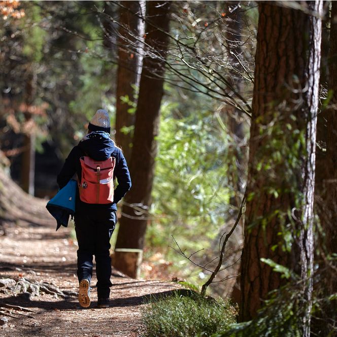 Wanderer mit Rucksack auf einem Waldweg, umgeben von Bäumen und Sonnenlicht.