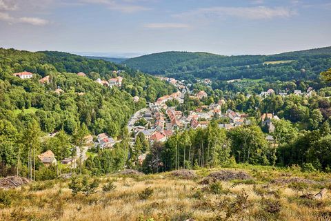 Bad Gottleuba: Grüne Hügel mit Bäumen und einem kleinen Dorf im Tal, unter blauem Himmel.