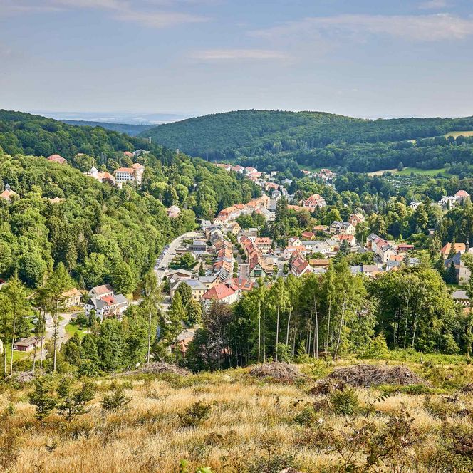 Bad Gottleuba: Grüne Hügel mit Bäumen und einem kleinen Dorf im Tal, unter blauem Himmel.