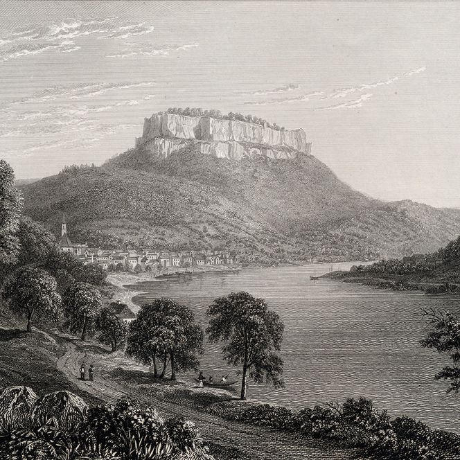 Stahlstich in schwarz-weiß mit Blick auf den Fluss Elbe mit Bäumen im Vordergrund und einem markanten, hohen Berg im Hintergrund.