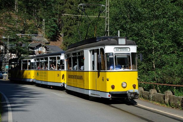 Gelbe Straßenbahn fährt durch grünen Wald; an Sommertag klarer Himmel.