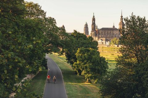 Radfahrer auf dem von einer Baumallee gesäumten Elberadweg, im Hintergrund die historische Altstadt von Dresden