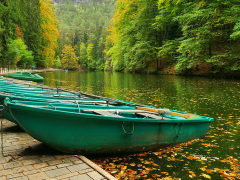 Amselsee See Kurort Rathen mit grünen Bäumen, im Vordergrund Bootsanleger.