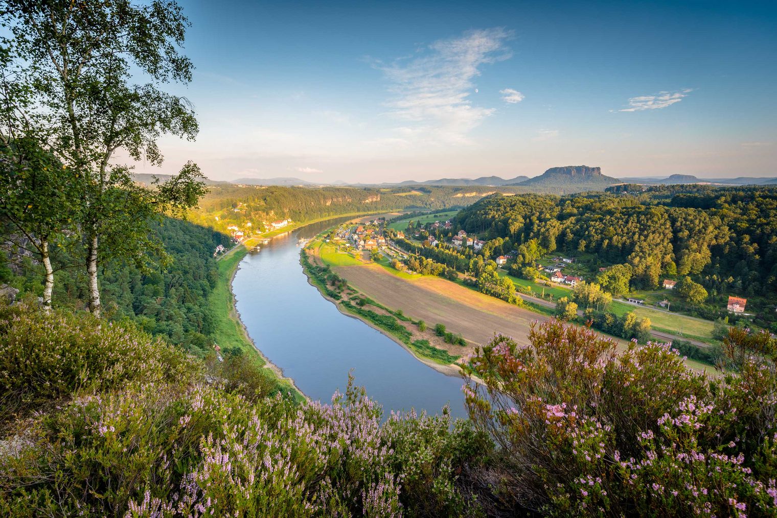 Blick auf die Elbe, umgeben von grünen Hügeln und Bäumen, unter einem klaren Himmel.