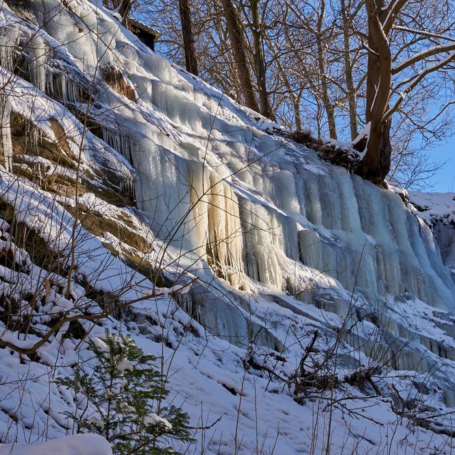 Eisige Wasserfälle fließen über einen schneebedeckten Hang, umgeben von Bäumen und klarem Himmel.