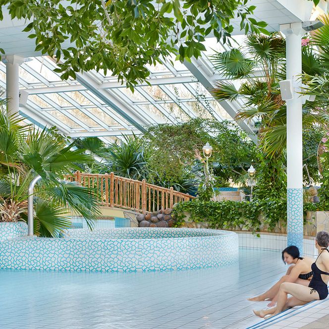 Zwei Personen sitzen am Rand eines Schwimmbeckens in einer tropischen Umgebung mit Pflanzen und Glasdach.