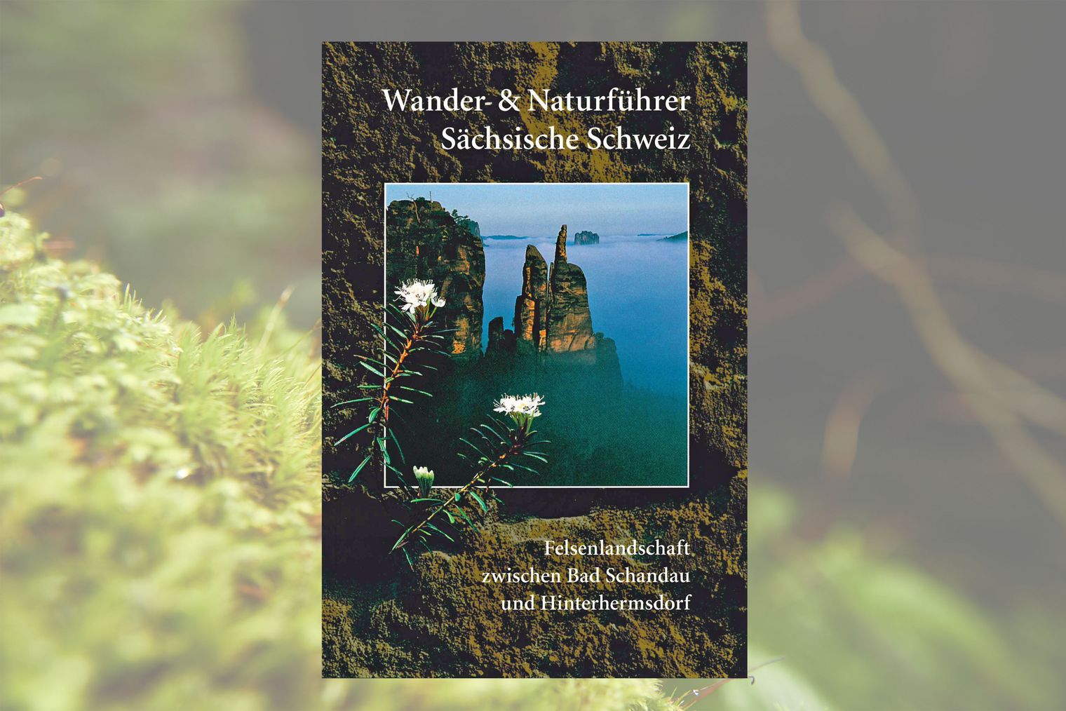 Buchcover mit dem Titel "Wander- und Naturführer", Bild von Felsen im Nebel.